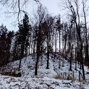 Jiřina na vrcholu Hrádek (29.1.2023 16:42)