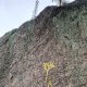 Nojby na vrcholu Krudum - JV vrchol (28.10.2023 11:09)