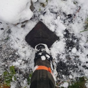 Nojby na vrcholu Stráž (19.11.2025 11:34)