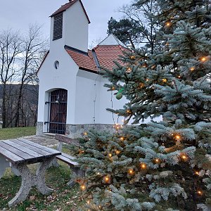 Mykas na vrcholu Na Vršku (28.12.2023 15:53)