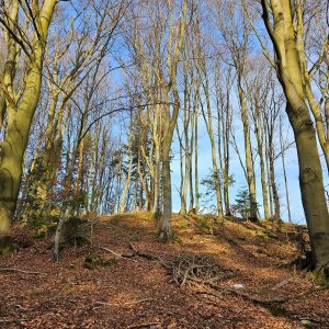 Marcela Kubíčková na vrcholu Kamenné V vrchol (31.12.2024 9:20)