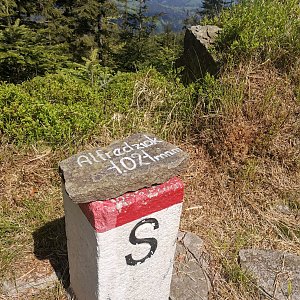Šárka na vrcholu Burkův vrch - Z vrchol (21.5.2023 11:08)