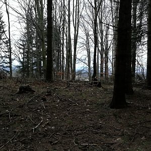 Vladimír Grančay na vrcholu Spálený (17.2.2024 17:17)