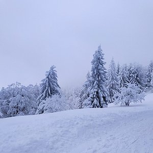 Marta Homolová na vrcholu Radegast - Z vrchol I (17.1.2021 10:10)