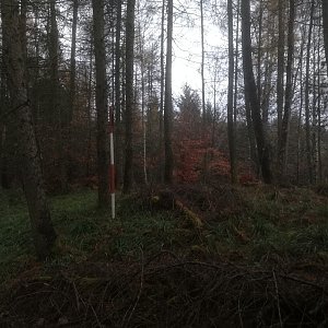 Vladimír Grančay na vrcholu Nový les (26.11.2022 16:11)