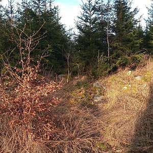 VěrkaN na vrcholu Pískový vrch (1.1.2023 13:26)