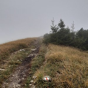 ZdenkaV na vrcholu Priehyb (12.9.2022)