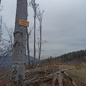 Bartek_na_cestach na vrcholu Kozubová JZ vrchol (28.4.2022 8:15)