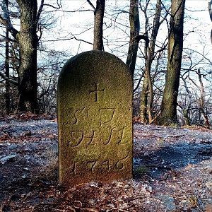 Jiřina na vrcholu Malá Ostrá (23.1.2024 13:20)