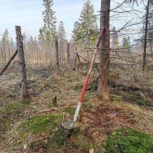 Šárka na vrcholu Na Dílech (15.3.2024 13:28)