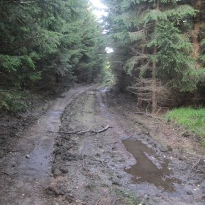 ZdenkaV na vrcholu Hřebeňák (19.9.2025 17:55)