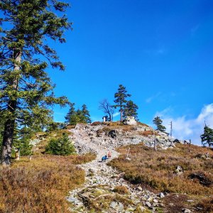 Šárka na vrcholu Brousek (12.10.2025 13:52)