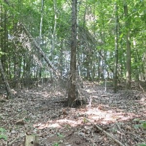 Jirka Zajko na vrcholu Hnídavec (15.6.2025 15:26)