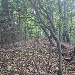 Denny Valach na vrcholu Hnídavec (24.8.2025 16:48)