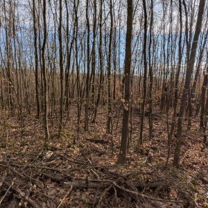 Michal Hájek na vrcholu Vinohrádky (1.4.2025 8:13)