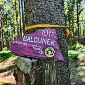 Jiří Králík na vrcholu Slavíč JV vrchol (2.7.2025 15:53)