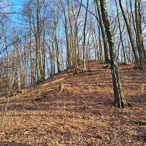 Horalka Anička na vrcholu Špidlák (27.1.2024)