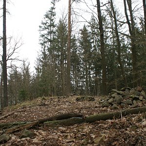 Holi na vrcholu Hrádecký vrch (11.3.2023 15:10)