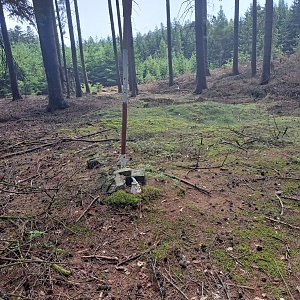 Horalka Anička na vrcholu Hřebeny (20.7.2024 11:05)