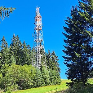 Horalka Anička na vrcholu Doupná hora - JZ vrchol (12.8.2024 12:27)