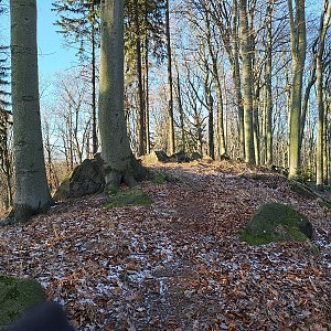 Horalka Anička na vrcholu Kameňák (21.1.2024)