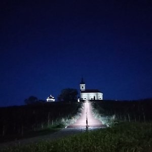 Jiřina na vrcholu Starý hrad  (17.10.2022 18:55)