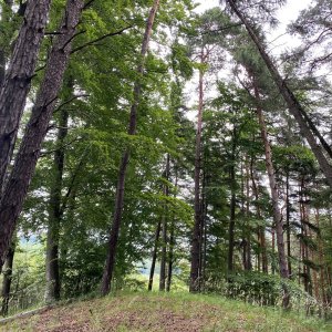 Ivana a Petr Kadovi na vrcholu Babylon (28.6.2025 9:23)