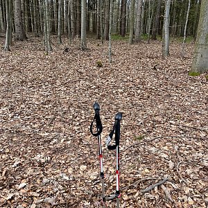 Radka D na vrcholu Krásná hora (29.3.2024 13:28)