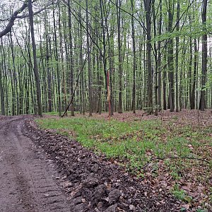 Horalka Anička na vrcholu Hrušová (6.4.2024)