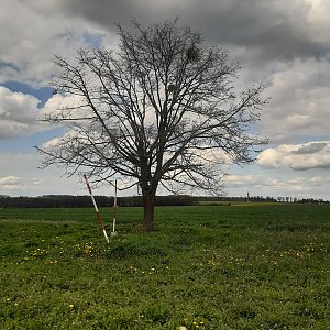 cyklo (KH) Hlučínsko