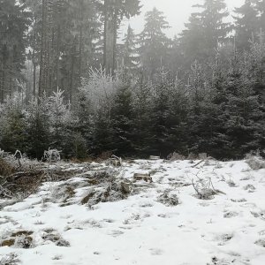 Vladimír Grančay na vrcholu Malá Kleť - JV vrchol (8.2.2025 11:55)