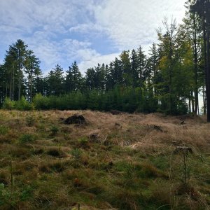 Marcela na vrcholu Malá Kleť - JV vrchol (10.10.2025 10:40)