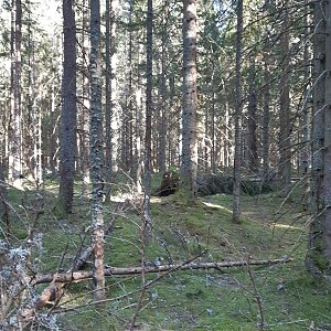 Marcela na vrcholu Sup (31.3.2024 16:49)