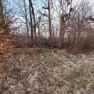 Bohumír Michal na vrcholu Pavelkův kopec (15.3.2023 17:32)