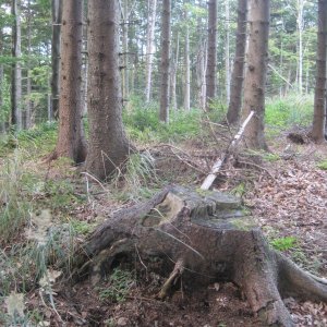 ZdenkaV na vrcholu Oblý vrch (19.9.2025 11:45)