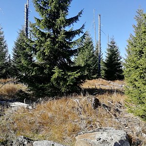 Vladimír Grančay na vrcholu Studená hora - JZ vrchol (26.10.2019 12:04)