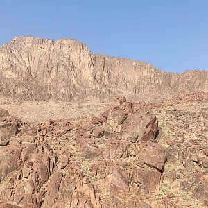 michalzhor na vrcholu Sinaj / Mojžišová hora (25.4.2022 13:47)