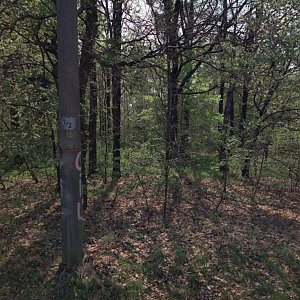 Radim na vrcholu Žižkov (9.5.2023)