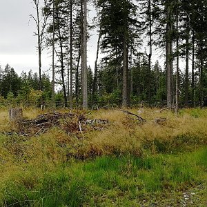 Vladimír Grančay na vrcholu Jelení vrch - JZ vrchol (26.8.2024 16:13)