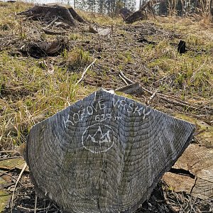 Šárka na vrcholu Kozové vŕšky (15.3.2024 12:07)