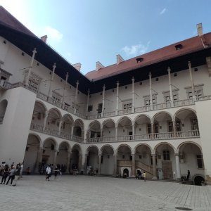 Petr h_vipet na vrcholu Wawel  (1.7.2023 16:59)