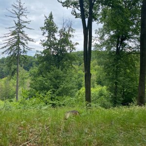 Ivana a Petr Kadovi na vrcholu Skalnáč (17.5.2025 12:54)