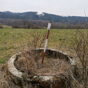 Šárka na vrcholu Bukovina (1.3.2024 11:21)