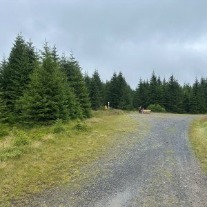 akam na vrcholu Vyhlídka nad prameny Vltavy (1.8.2025 14:19)