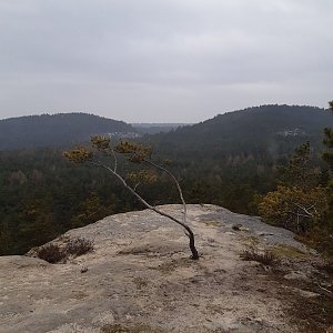 ZdenkaV na vrcholu Malý Vlhošť (4.3.2023)