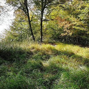 Benešovská pahorkatina