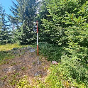 Horalka Anička na vrcholu Stráž (13.8.2024 13:01)