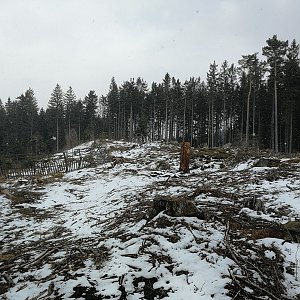 Vladimír Grančay na vrcholu Milovský vrch (3.4.2021 16:35)