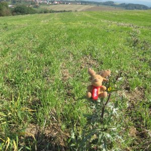 ZdenkaV na vrcholu Hůrka (3.10.2025 13:32)