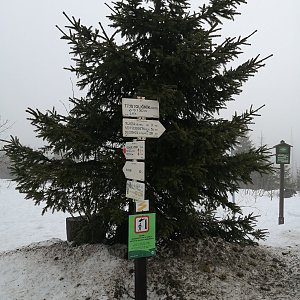 Jiří Tomaštík na vrcholu Třístoličník / Dreisessel (1.1.2022 13:19)